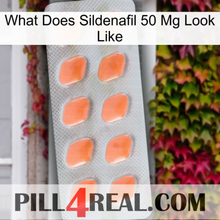 What Does Sildenafil 50 Mg Look Like 26